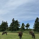 대금목장 이미지