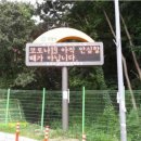 재난문자전광판 경기경제신문