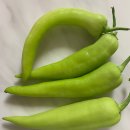 박동복 | 주5일 채식지향 **버섯파프리카볶음 , 당조고추,가지무침