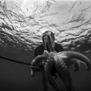 (주)센트디아 이미지