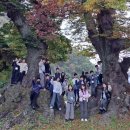 화순초등학교이서분교장 이미지