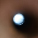 (주)에버파인 | 250514~250522 런던 #6