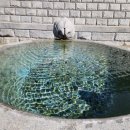 각원사약수 이미지