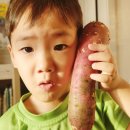 해남물산 이미지