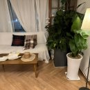 화정목장 이미지