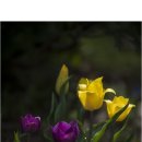 VK아트홀 이미지