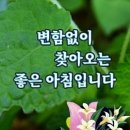 ♤선택♧ 이미지