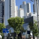 사문진로 | [대구/화원] 대형카페 "포레스트 헤리티지" 내돈내산 솔직후기 낋여볼게요