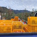 오봉농원 이미지