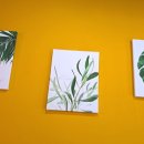 순스마카롱 이미지