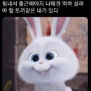 맥스담배 이미지