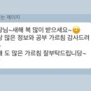 브엘라핏 이미지