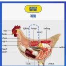 계폐 이미지