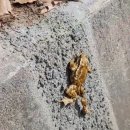 황새마을 이미지