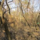 포항시북구76 이미지