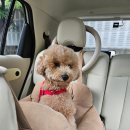 무명축산