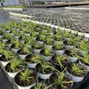 중방농장 이미지