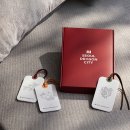 스테이 드레곤 이미지