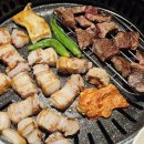 강남 농장 이미지