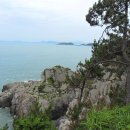 상화도