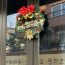 슈가몽 544 이미지