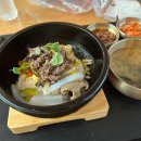 * 6월 혼자 일본 도쿄 여행 1일차 - 나리타에서 넥스로 요코하마 가는법, 에어캐빈 후기