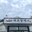 대포칼제비 이미지