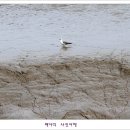 외포리선착장 이미지