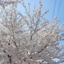 우신정육점 - 군산시 서당길 4 | 우신정육점