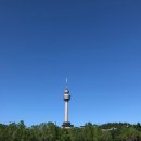 달구벌떡집