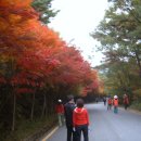 10월.. 0510 -- 무등산의 붉은 단풍 과 갈대 -- 사진 12장 이미지