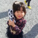 메가마트 김해점 이미지