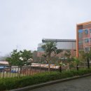 삼호서중학교 이미지