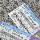 322 | 두바이 몰디브 신혼여행 후 인천 입국 EK322 탑승 후기