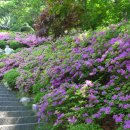 우리들 농장 이미지