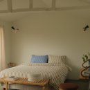 탈로 제주 이미지