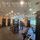 머슬원핏 이미지