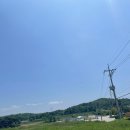 영주 디저트 카페이자 온실 카페 메이블룸(May Bloom) 후기!!