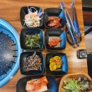 날아라홍돼지 이미지