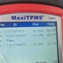 붕붕타이어모터스 이미지