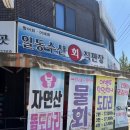 안산맛집 일동수산 쫄깃함이 다른 횟집 인정