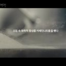 남양광고