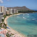 (주)굿뉴스여행사 이미지