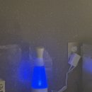 호돌이정육점 이미지