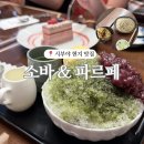 카페가실 | 시부야 맛집 추천 ✈️ 도겐자카 가성비 소바 + 클래식 카페 실후기 (현지인 느낌·카드결제 O)