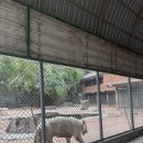 동물원주유소 이미지