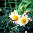 펜션빛뜨란 이미지