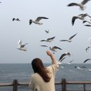 포항물회해물포차 이미지