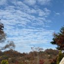 금산만악리수목원 오토캠핑장 | 첫 캠핑 후기 금산 만악리 오토캠핑장