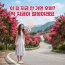 밤티재길 | 남원 배롱나무길, 지금 절정인 이유? 뒷밤재 광한루 서도역 코스 총정리